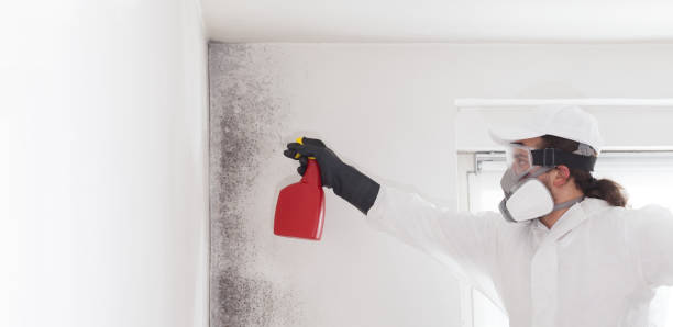 Best Bathroom Mold Remediation in Carter Lake, IA